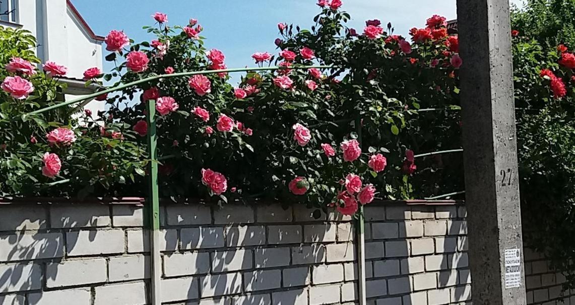 Dacha V Arkadii 호텔 오데사 외부 사진